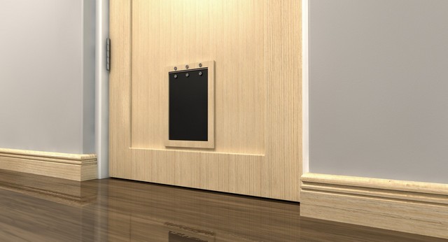 Cat Flap Installation Wembley, Alperton, Sudbury, HA0