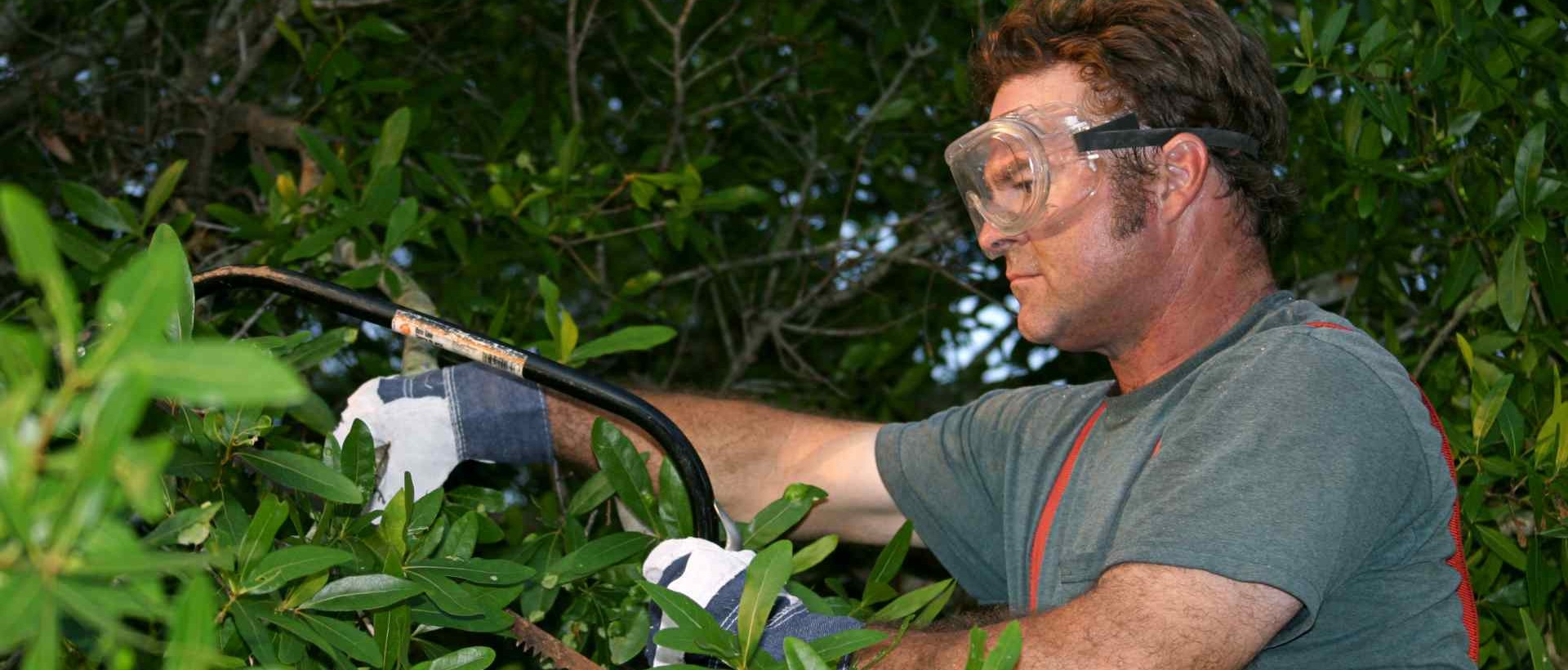 garden clearance HA0